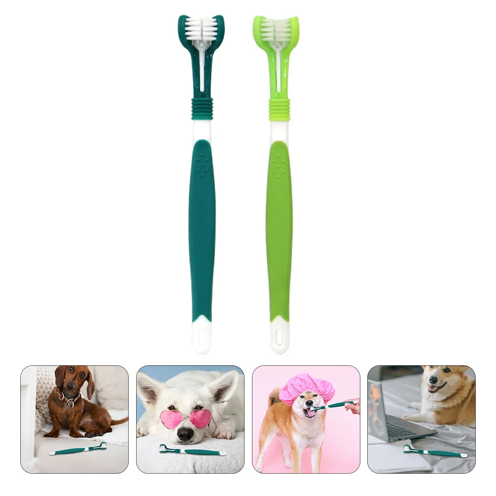 2 Pcs Pet Toothbrush Dog for Small Dogs Teeth Cleaning Double Head Toothbrushes Triple Headed Pp
2 Pcs Pet Toothbrush Dog for Small Dogs Teeth Cleaning Double Head Toothbrushes Triple Headed Pp