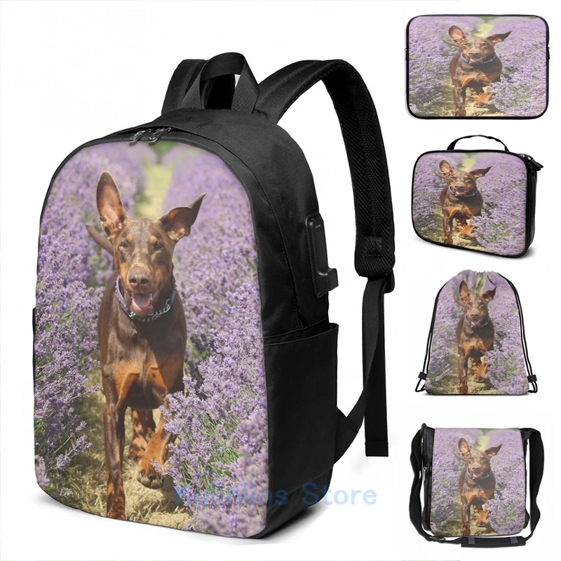 Забавный рюкзак Dobermann с графическим принтом и USB-зарядкой, школьные ранцы для мужчин и женщин, дорожная сумка для ноутбука
Забавный рюкзак Dobermann с графическим принтом и USB-зарядкой, школьные ранцы для мужчин и женщин, дорожная сумка для ноутбука