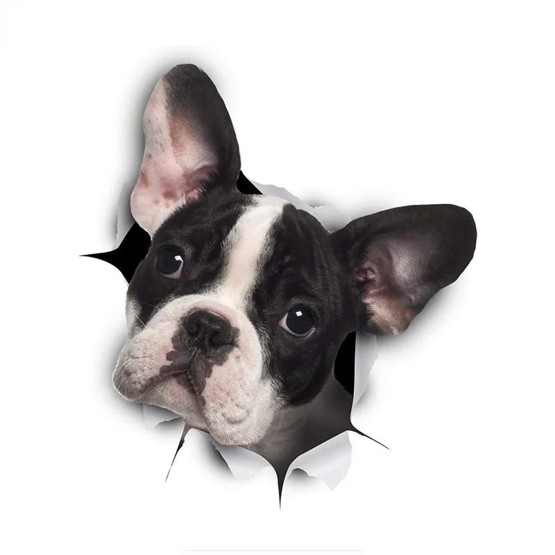 Jptz French black and white Bulldog 3D dog stickers, car, truck, laptop, bathroom window bumper decorative stickers
Jptz French black and white Bulldog 3D dog stickers, car, truck, laptop, bathroom window bumper decorative stickers