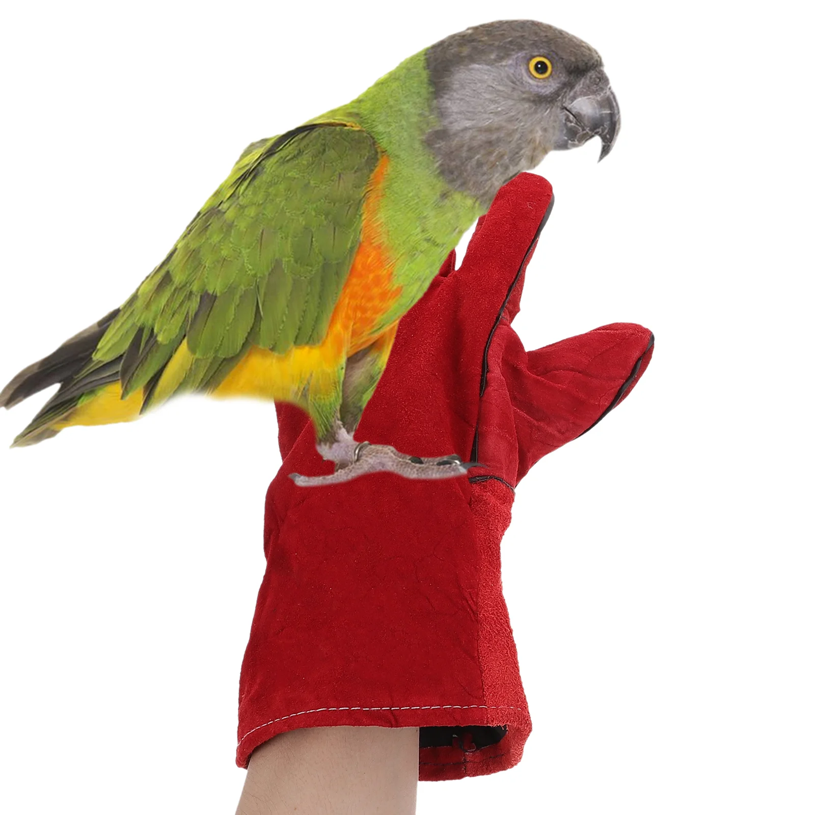 Anti Bite Gloves Pet Protective to Feed Feeding Accessory Fleece Lining Training Supplies
Anti Bite Gloves Pet Protective to Feed Feeding Accessory Fleece Lining Training Supplies