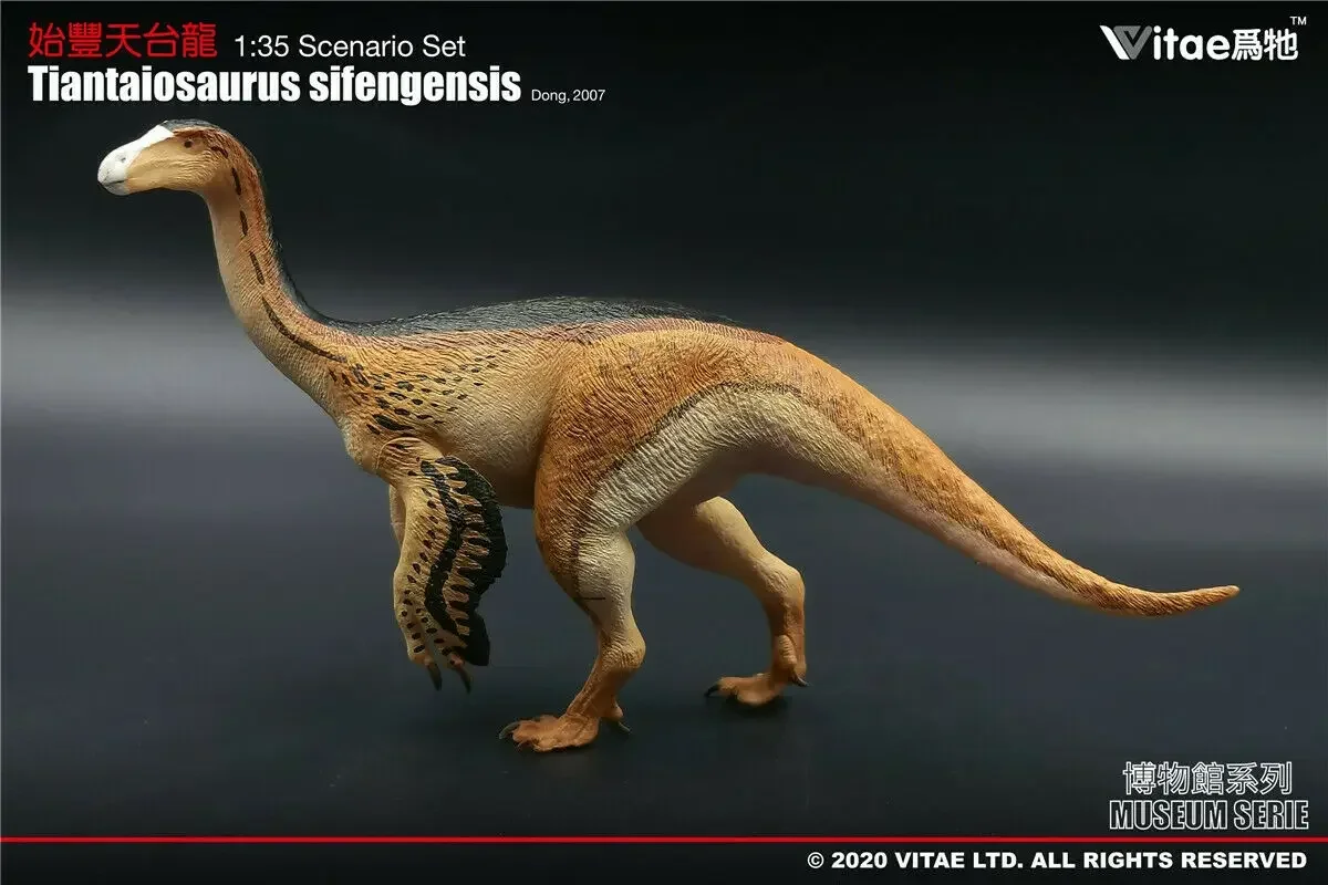

Vitae 1:35 Scale Tiantaiosaurus sifengensis Dong Model Dinosaur Toys Animal Collection Adults Gift