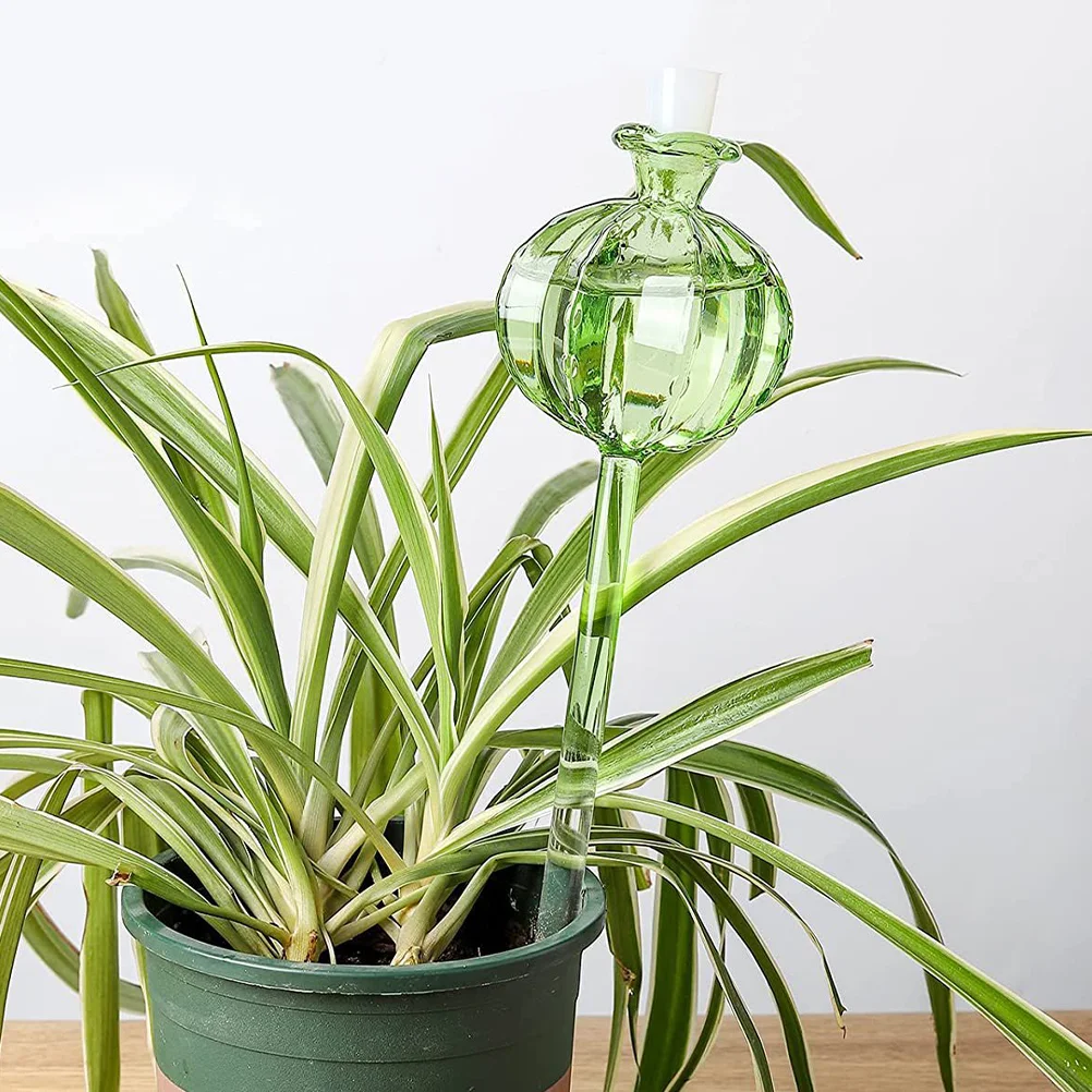 2 Pcs Cactus Flower Waterer Plant Auto Watering for Plants Automatic Tool Indoor Bulbs High Borosilicate Glass Devices System
2 Pcs Cactus Flower Waterer Plant Auto Watering for Plants Automatic Tool Indoor Bulbs High Borosilicate Glass Devices System