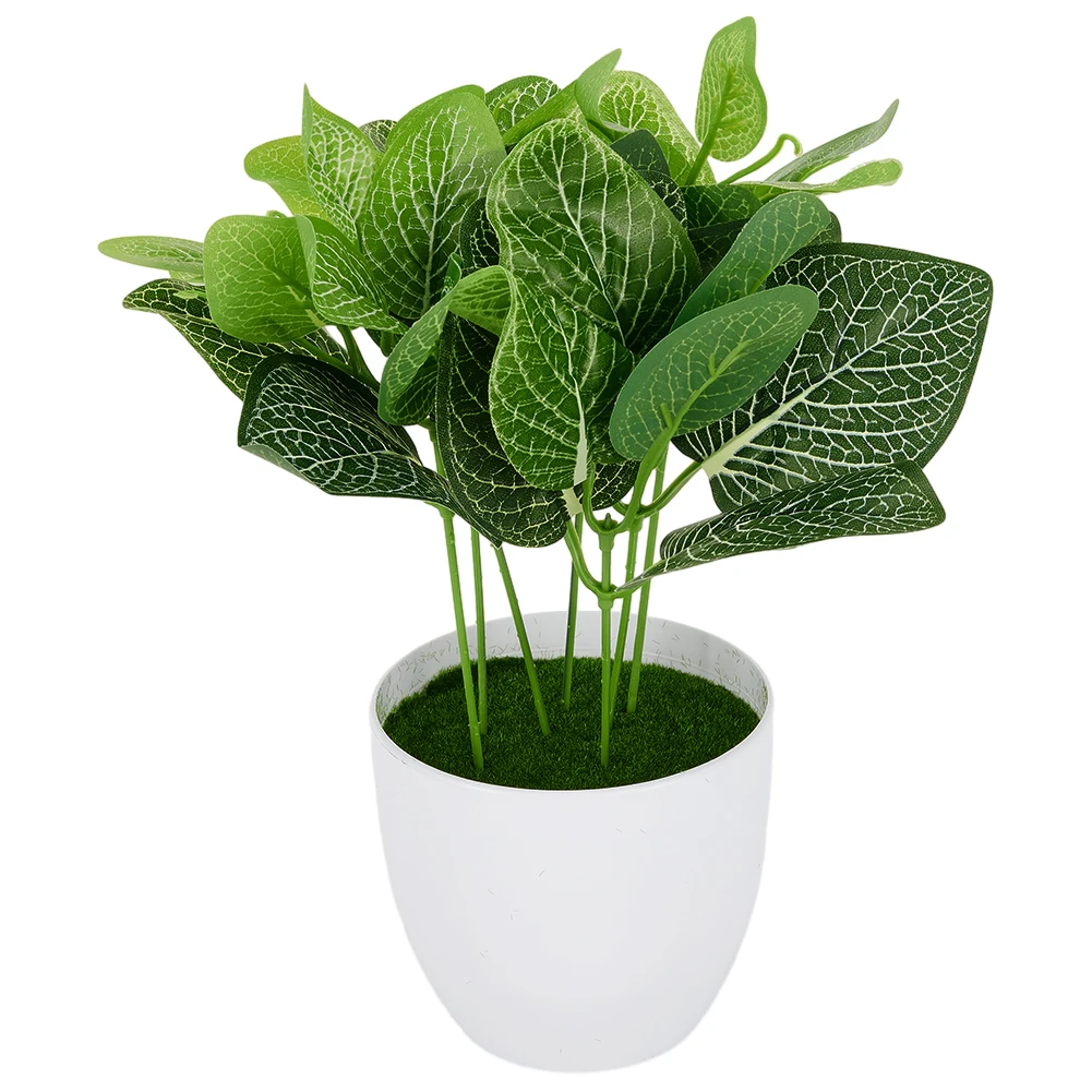 Simulation Green Plant Pot Artificial Green Dill Persian Leaves Plants Bonsai Home Desktop Decoration Potted Plants Bonsai
Simulation Green Plant Pot Artificial Green Dill Persian Leaves Plants Bonsai Home Desktop Decoration Potted Plants Bonsai