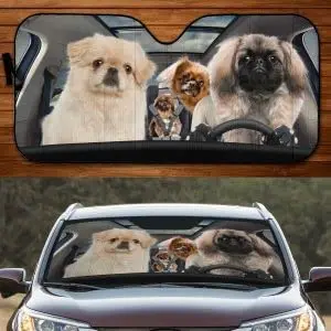 Funny Pekingese Dog Family Driving Dad Mom Child Dog Lover Car Sunshade, Car Window Sun Cover for Pekingese Dog Mom, Car Windshi
Funny Pekingese Dog Family Driving Dad Mom Child Dog Lover Car Sunshade, Car Window Sun Cover for Pekingese Dog Mom, Car Windshi