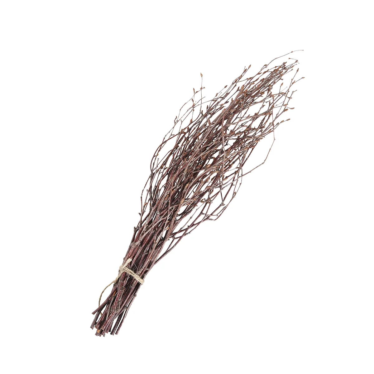 10 Pcs Household Ornament Dry Branches Photography Props Wooden Sticks Home Decoration Log
10 Pcs Household Ornament Dry Branches Photography Props Wooden Sticks Home Decoration Log