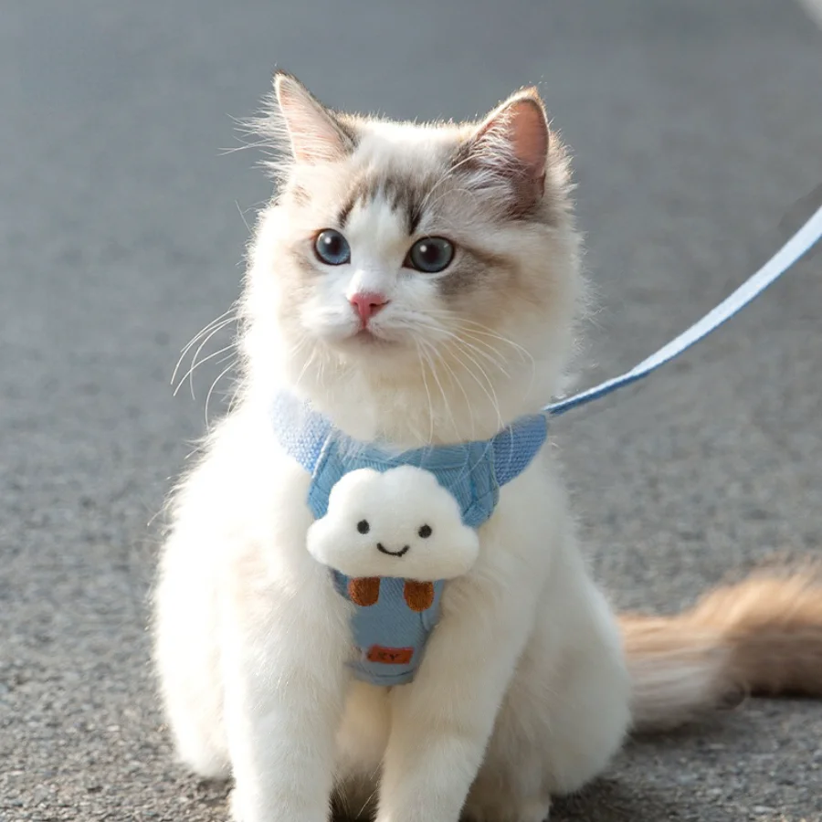 Cute Adjustable Long Cat Lead Leash Bowtie Walking Luxury Durable Harness New Elastic Arnes De Gato De Paseo Pet Accessories
Cute Adjustable Long Cat Lead Leash Bowtie Walking Luxury Durable Harness New Elastic Arnes De Gato De Paseo Pet Accessories