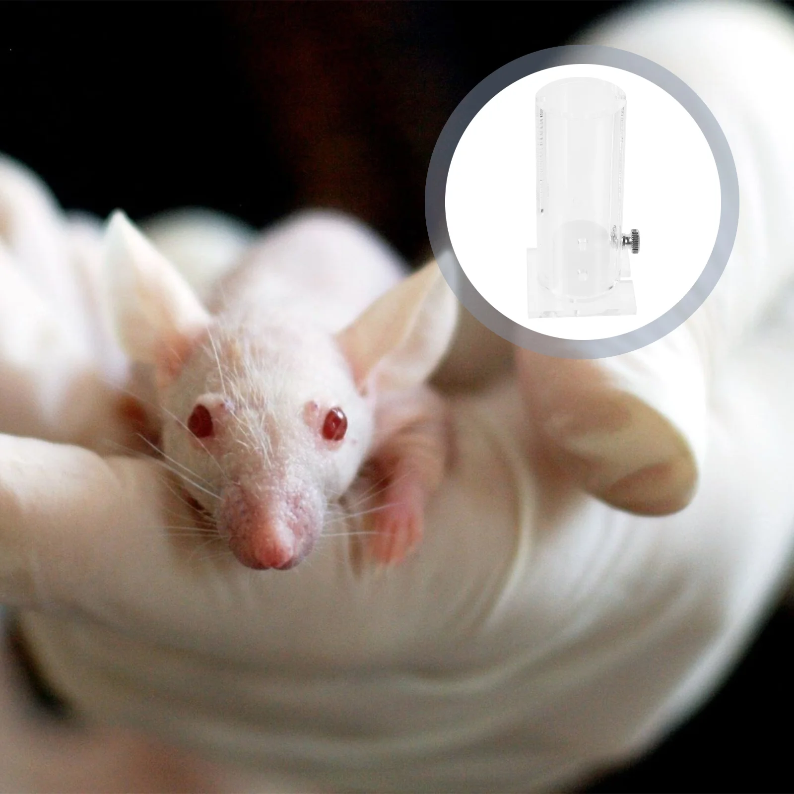 Mouse Holder Acrylic Mice Restrainer Fixing Tool Fixed Tube Animal Organic Glass
Mouse Holder Acrylic Mice Restrainer Fixing Tool Fixed Tube Animal Organic Glass