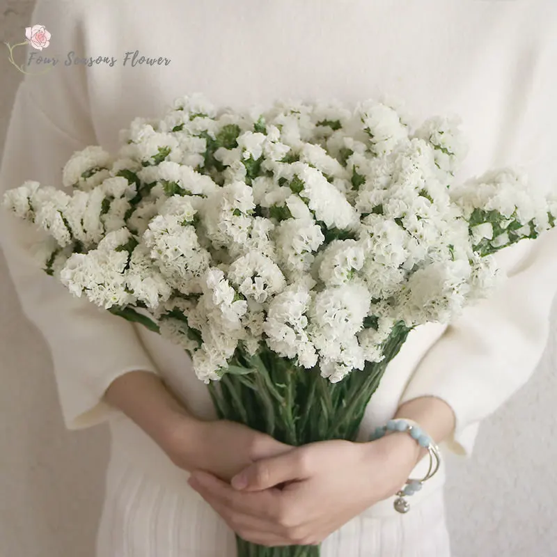 100g Natural Dried Flowers Forget-Me-not Flower Bouquet Wedding Decoration Artificial Flower For Home Decor Valentine's Gift
100g Natural Dried Flowers Forget-Me-not Flower Bouquet Wedding Decoration Artificial Flower For Home Decor Valentine's Gift
