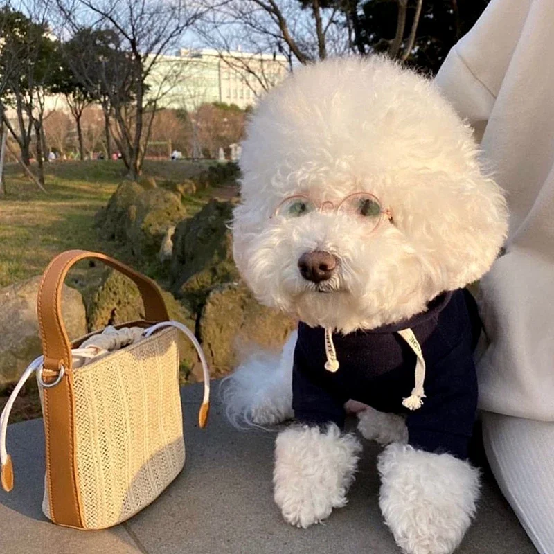 

Autumn Dog Pullover Hoodie Winter Warm Coat Solid Clothing for Small Medium Large Dog Jacket Teddy Bichon Costume Pet Supplies