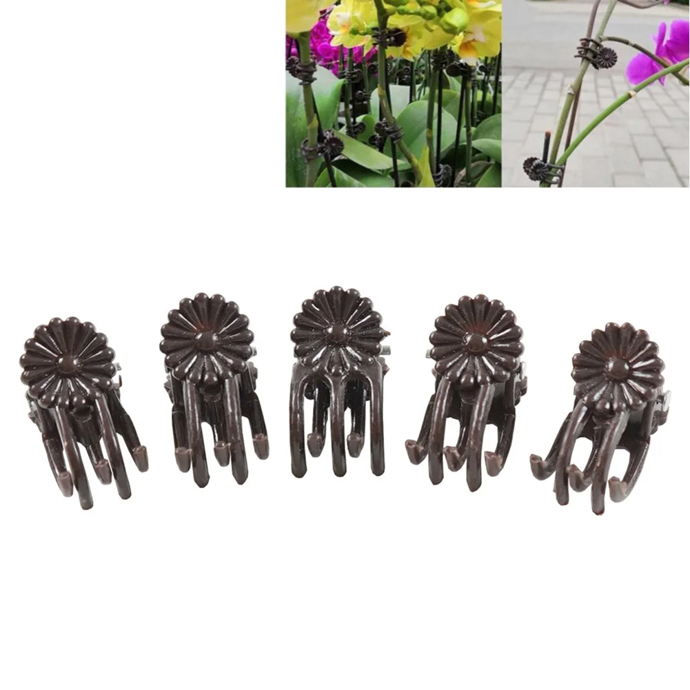 Plant Support Holder Plant Clamp Vine Plant Clips Plant Supplies Plastic 10/50/100 Pcs 20*10*16mm Brand New Brown
Plant Support Holder Plant Clamp Vine Plant Clips Plant Supplies Plastic 10/50/100 Pcs 20*10*16mm Brand New Brown