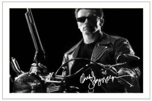 ARNOLD SCHWARZENEGGER TERMINATOR Signed Art Film Print Silk Poster Home Wall Decor
ARNOLD SCHWARZENEGGER TERMINATOR Signed Art Film Print Silk Poster Home Wall Decor