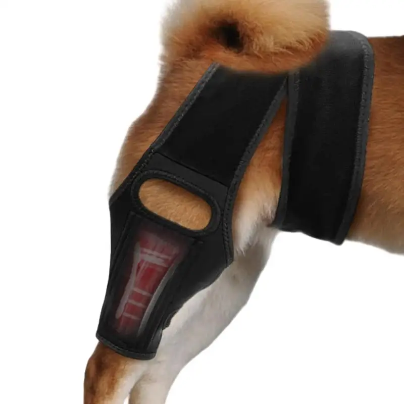 Dog Knee Brace Dog Hip Dysplasia Brace With 10 Support Sticks Comfortable Hip And Leg Protector Breathable For Small Senior And
Dog Knee Brace Dog Hip Dysplasia Brace With 10 Support Sticks Comfortable Hip And Leg Protector Breathable For Small Senior And