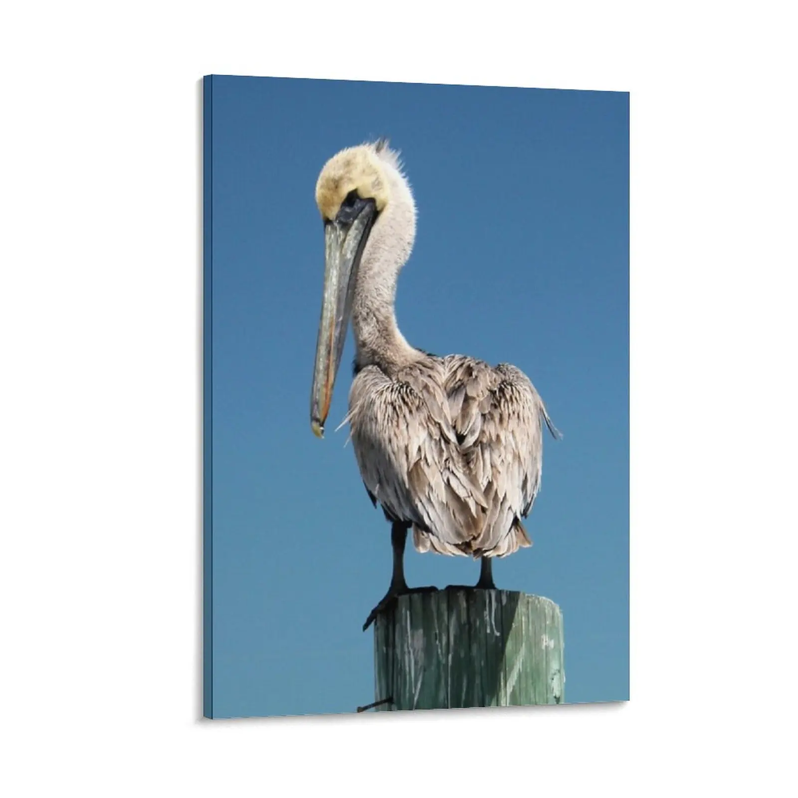 Pelican saying "Here's Looking at you, Kid" Canvas Painting aesthetic room decor vintage home decor
Pelican saying "Here's Looking at you, Kid" Canvas Painting aesthetic room decor vintage home decor