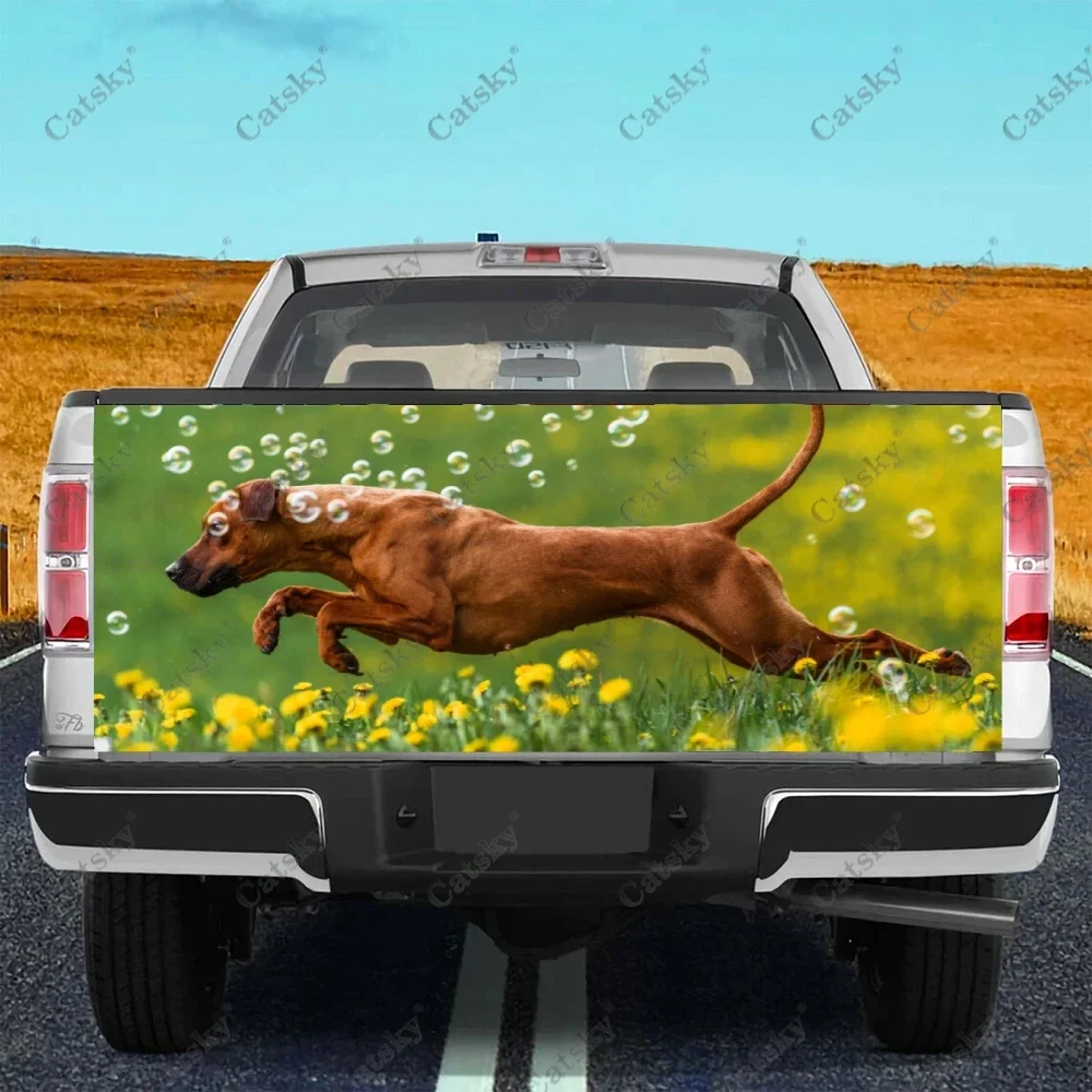Обмотка для задней дверцы грузовика Rhodesian Ridgeback, материал профессионального класса, универсальная, подходит для полноразмерного грузовика, устойчивая к атмосферным воздействиям, безопасная мойка автомобиля
Обмотка для задней дверцы грузовика Rhodesian Ridgeback, материал профессионального класса, универсальная, подходит для полноразмерного грузовика, устойчивая к атмосферным воздействиям, безопасная мойка автомобиля