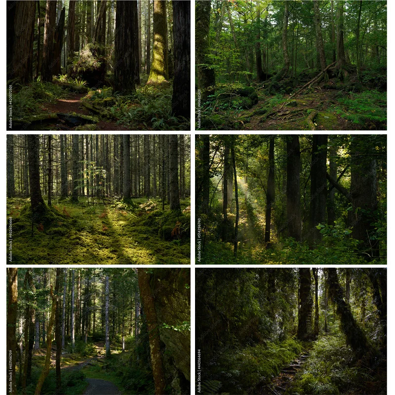 

Tropical Rainforest Coniferous Forest Moss Fallen Tree Photography Backdrops Prop Jungle Nature Landscape Theme Background ZL-13