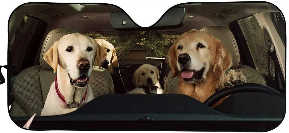 Micandle Windshield Sunshades, Golden Retriever Dogs Print Car Windshield Sun Shade Universal Auto Accessories Foldable Sun Viso
Micandle Windshield Sunshades, Golden Retriever Dogs Print Car Windshield Sun Shade Universal Auto Accessories Foldable Sun Viso