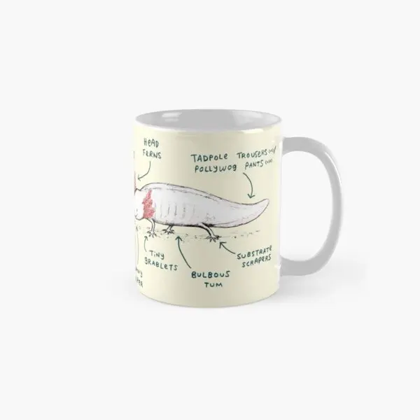 

Anatomy Of An Axolotl Classic Mug Gifts Tea Drinkware Image Handle Round Design Printed Coffee Simple Cup Photo Picture