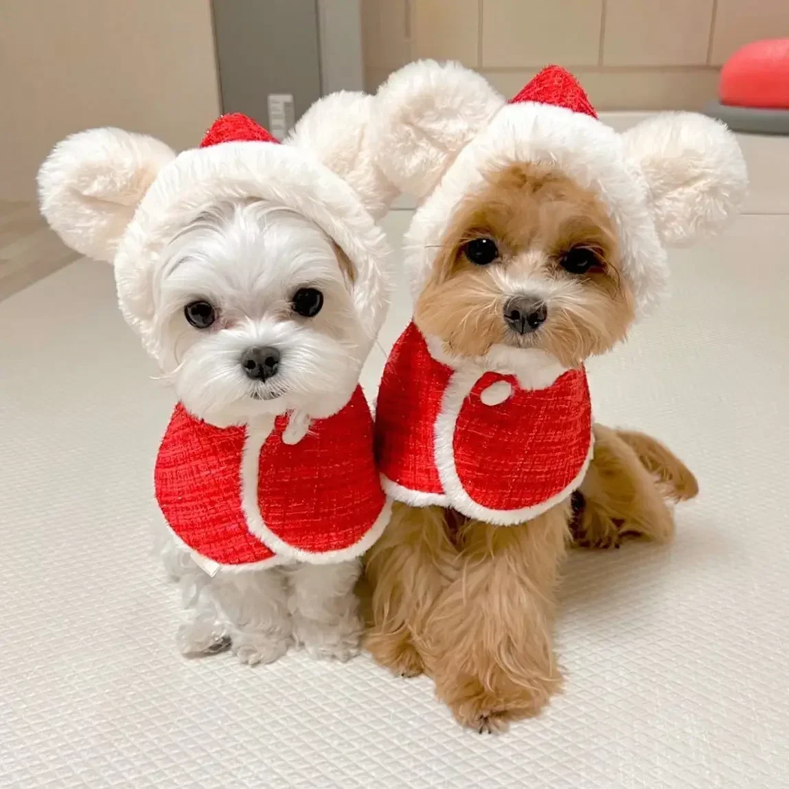 INS Christmas Pet Cloak Ears Hooded Bib Cape Warmth Maltese New Year Dog Party Clothes Pet Coat Fashion Dog Design Dog Clothes
INS Christmas Pet Cloak Ears Hooded Bib Cape Warmth Maltese New Year Dog Party Clothes Pet Coat Fashion Dog Design Dog Clothes