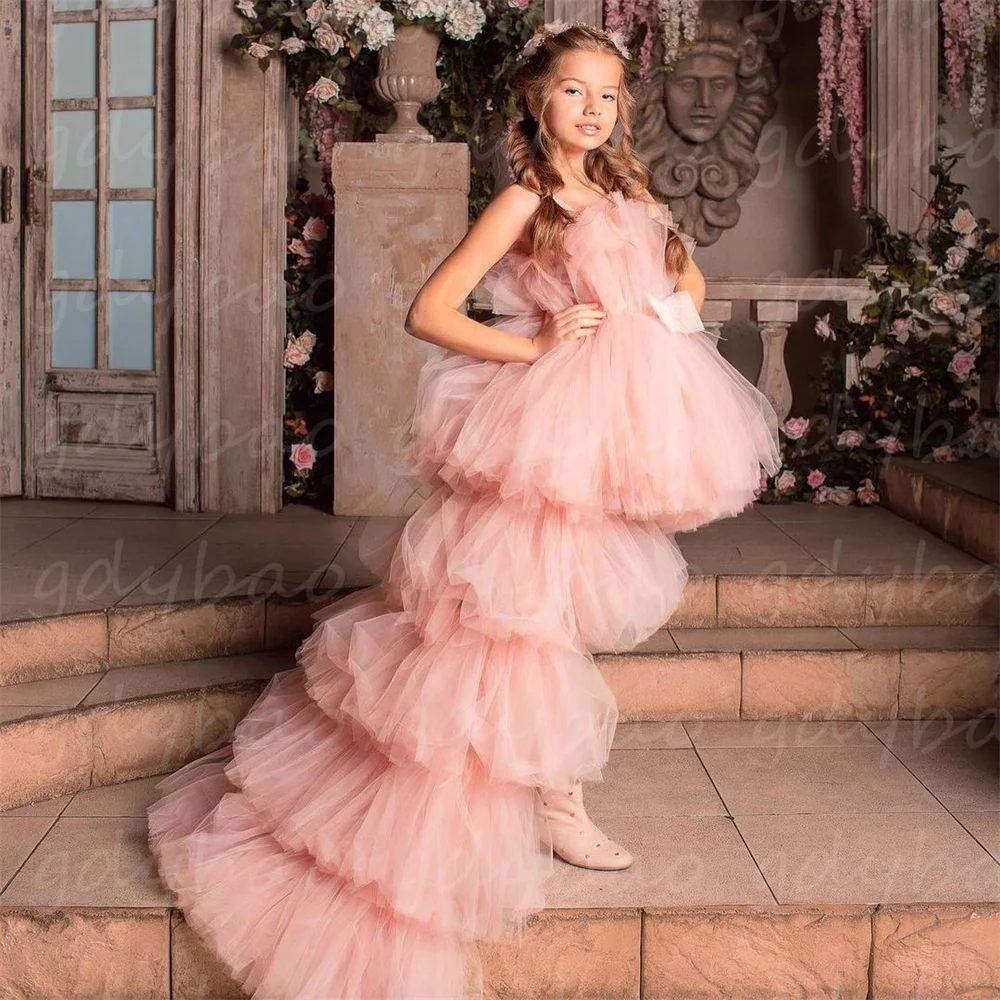 Flower Girl Dress Tulle Princess Dress For Girl First Communion Dress Kids Birthday Dress Child Gown Detachable Train
Flower Girl Dress Tulle Princess Dress For Girl First Communion Dress Kids Birthday Dress Child Gown Detachable Train