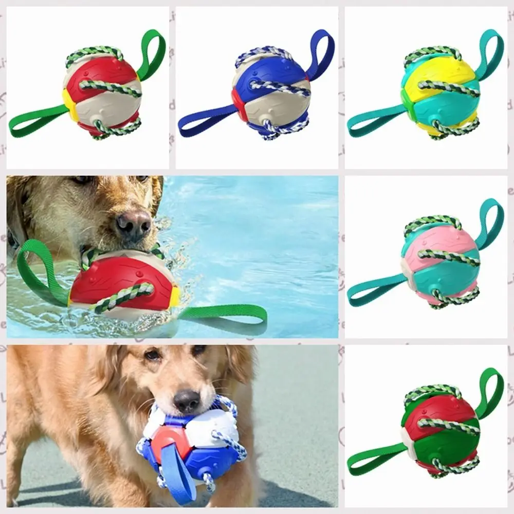 

Colorful 1PC Wear resistant Interactive Bite resistant Dog Training Ball Dog Soccer Ball Dog Flying Disc Puppy Molar Toy