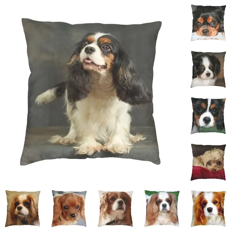 Cavalier King Charles Spaniel Luxury Pillow Cover Home Decorative Dog Animal Cushions For Sofa Double Sided Print Chair Cushion
Cavalier King Charles Spaniel Luxury Pillow Cover Home Decorative Dog Animal Cushions For Sofa Double Sided Print Chair Cushion