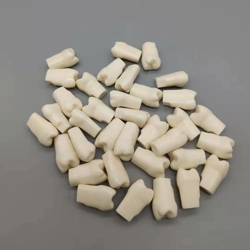 1/5/10Pcs Tooth Dental Teeth Model For Dentist Technician Practice Preparation Removable Tooth Dentistry Training Models
1/5/10Pcs Tooth Dental Teeth Model For Dentist Technician Practice Preparation Removable Tooth Dentistry Training Models