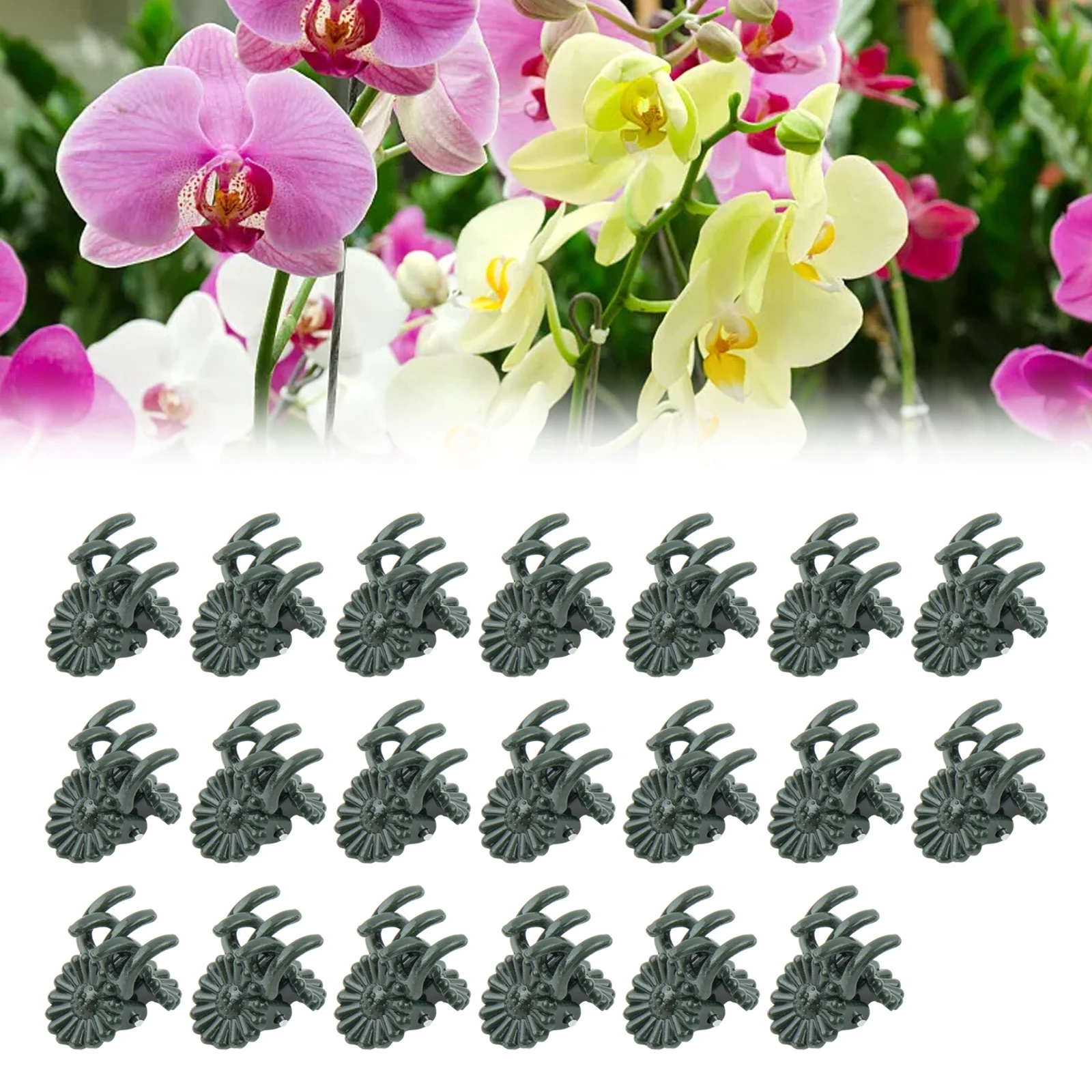 20/50/100PCS Plant Clips For Grafting Phalaenopsis Clips Garden Accessory Tools Clips For Any Creeping Flowers Vines Tomatoes
20/50/100PCS Plant Clips For Grafting Phalaenopsis Clips Garden Accessory Tools Clips For Any Creeping Flowers Vines Tomatoes