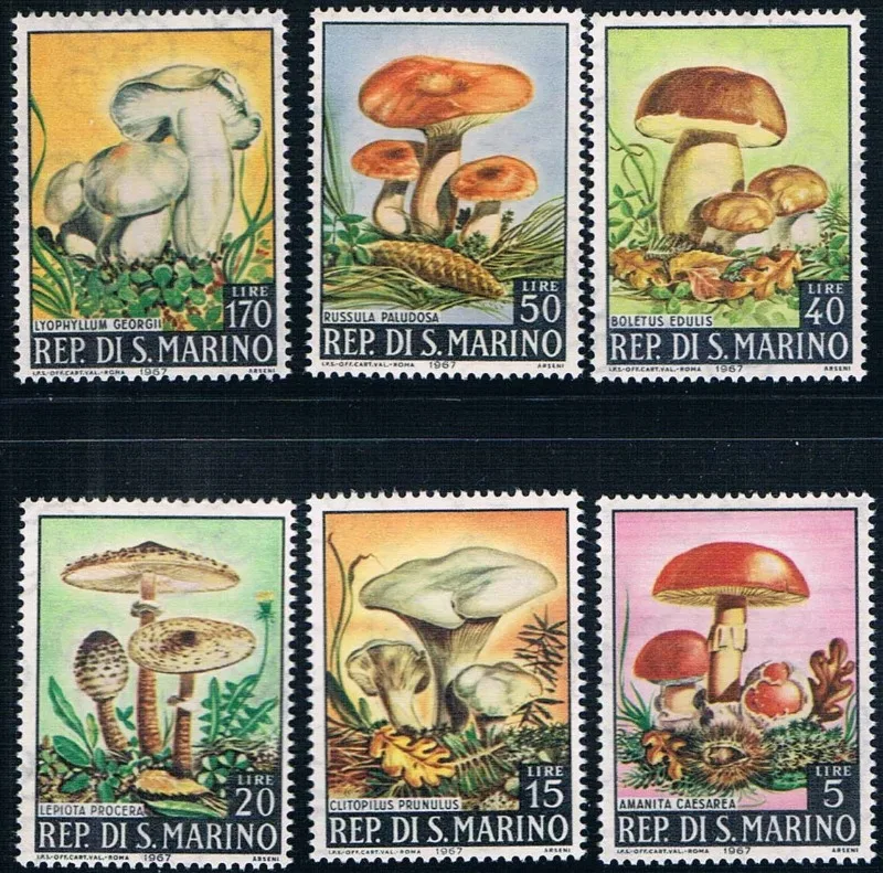 6 шт., Сан-Марино, 1967, гриб, штамп для растений, коллекция штампов, коллекция хорошего состояния
6 шт., Сан-Марино, 1967, гриб, штамп для растений, коллекция штампов, коллекция хорошего состояния