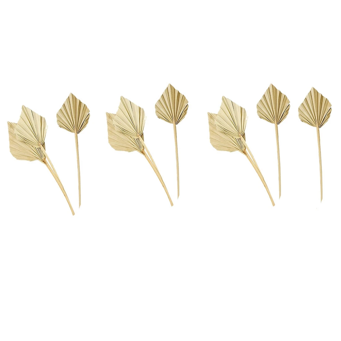10 Pcs Boho Dried Palm Spears Natural Dried Palm Fans Dried Palm Leaves Dried Palm Leaf Palm Fan Leaf with Stem
10 Pcs Boho Dried Palm Spears Natural Dried Palm Fans Dried Palm Leaves Dried Palm Leaf Palm Fan Leaf with Stem