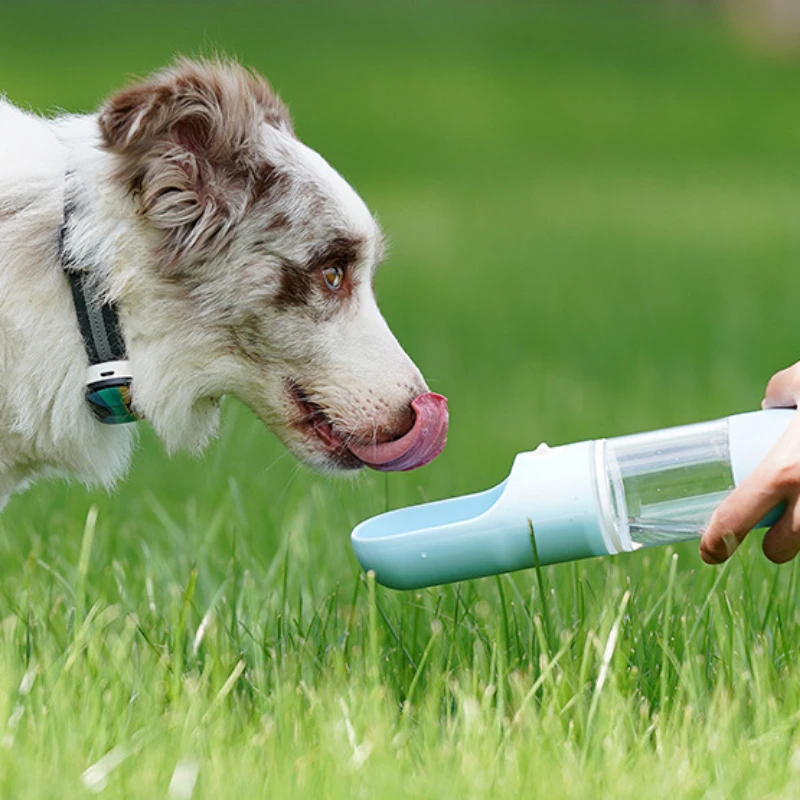 200ml Dog Outdoor Water Bottle Cat Pet Outdoor Travel Drinker Portable Feeder for Walking Dogs 150g Food Container Travel Bowl
200ml Dog Outdoor Water Bottle Cat Pet Outdoor Travel Drinker Portable Feeder for Walking Dogs 150g Food Container Travel Bowl