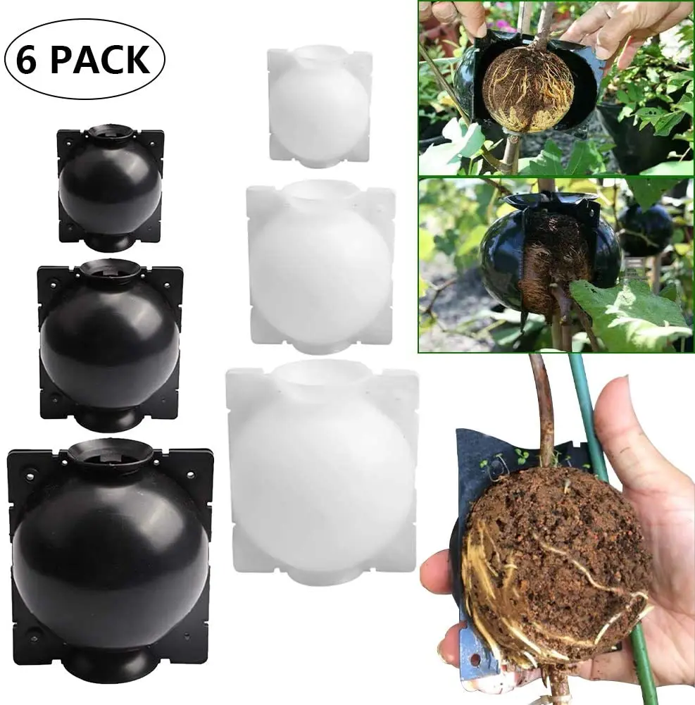 6Pcs Plant Rooting Ball High Pressure Graft Breeding Case Nursery Box Propagation Jardinage Plant Root Pot Garden Accessories
6Pcs Plant Rooting Ball High Pressure Graft Breeding Case Nursery Box Propagation Jardinage Plant Root Pot Garden Accessories