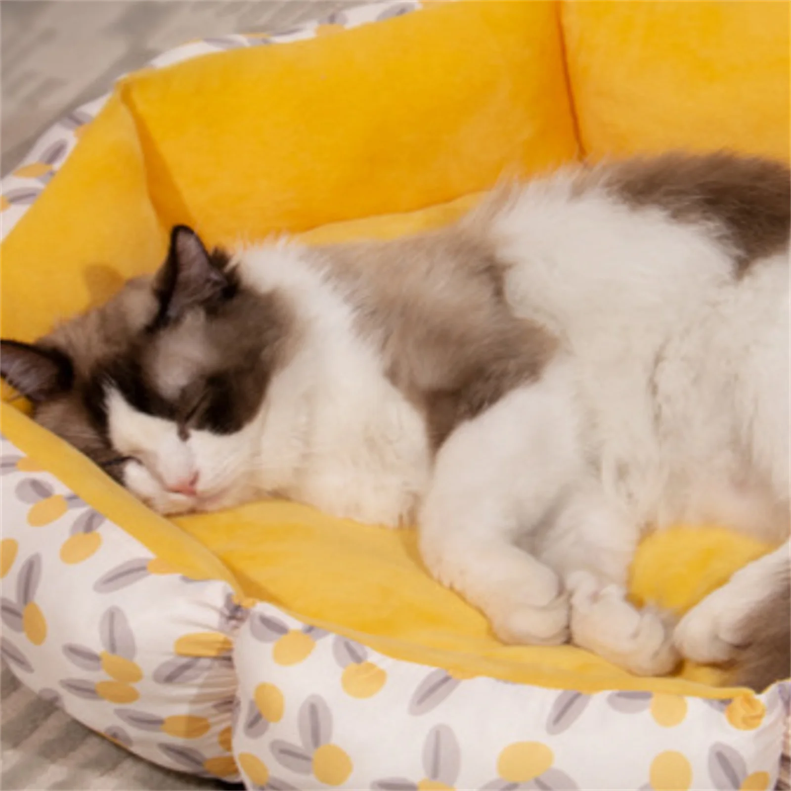 Pet Cage Accessories Dog Cat Bed Mouse Cotton House Small Animal Nest Winter Warm Sofa Sleeping Bag Mat
Pet Cage Accessories Dog Cat Bed Mouse Cotton House Small Animal Nest Winter Warm Sofa Sleeping Bag Mat