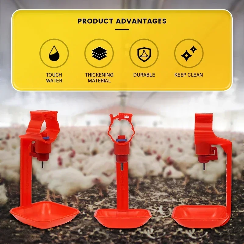Cups Poultry Farm Tools 50pcs Supplies Farming Bowl Nipple Hanging Equipment Drinking Drinkers Water Chicken Pheasant
Cups Poultry Farm Tools 50pcs Supplies Farming Bowl Nipple Hanging Equipment Drinking Drinkers Water Chicken Pheasant