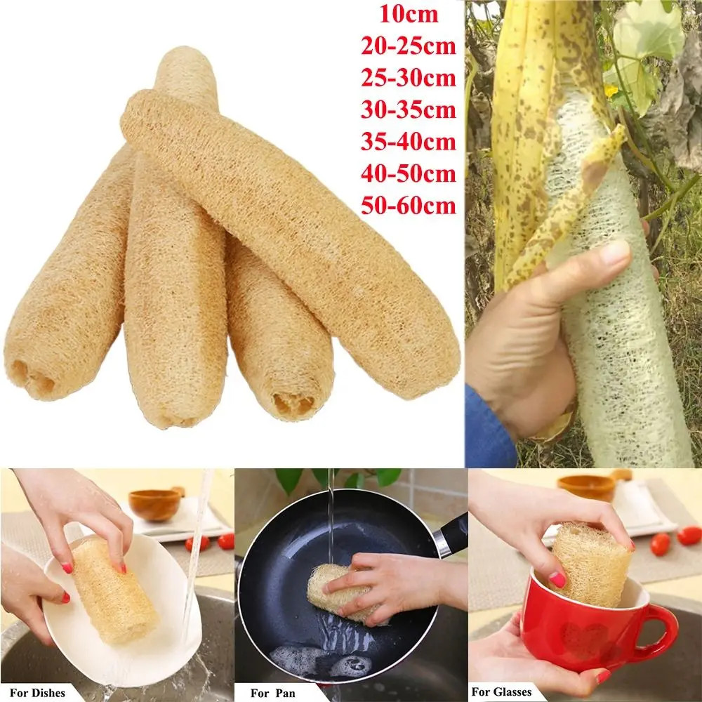 Esponja de lufa natural larga ecológica para lavar platos, antiadherente, con buena absorción, cepillo para ollas, baño y cocina. 9 Venta de cadena de bolas online S068b057c8cfb4a92b3ed89516be3a864z Venta de cadena de bolas online