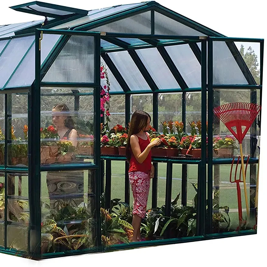 Supplies Walk In Construction Plant Shade Portable Home Single Span Hobby Mini Greenhouse Garden Green House
Supplies Walk In Construction Plant Shade Portable Home Single Span Hobby Mini Greenhouse Garden Green House