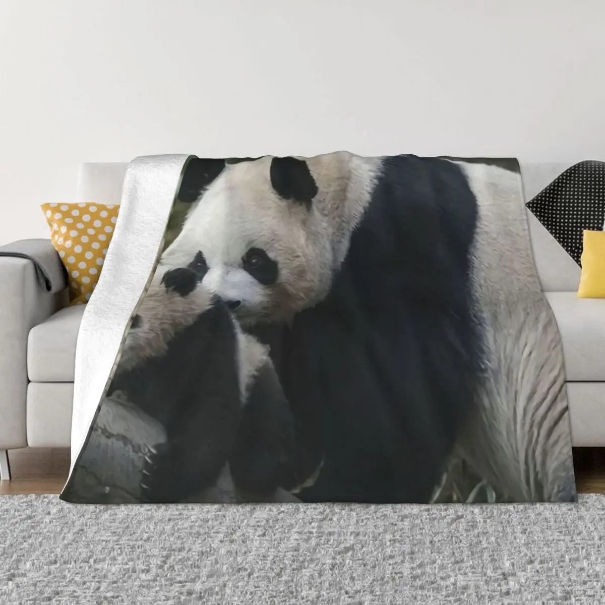 Одеяло с животными Fubao, панда Фу Бао, Aibao, мягкие плюшевые фланелевые школьные одеяла с защитой от пиллинга, украшение для спальни и кровати
Одеяло с животными Fubao, панда Фу Бао, Aibao, мягкие плюшевые фланелевые школьные одеяла с защитой от пиллинга, украшение для спальни и кровати