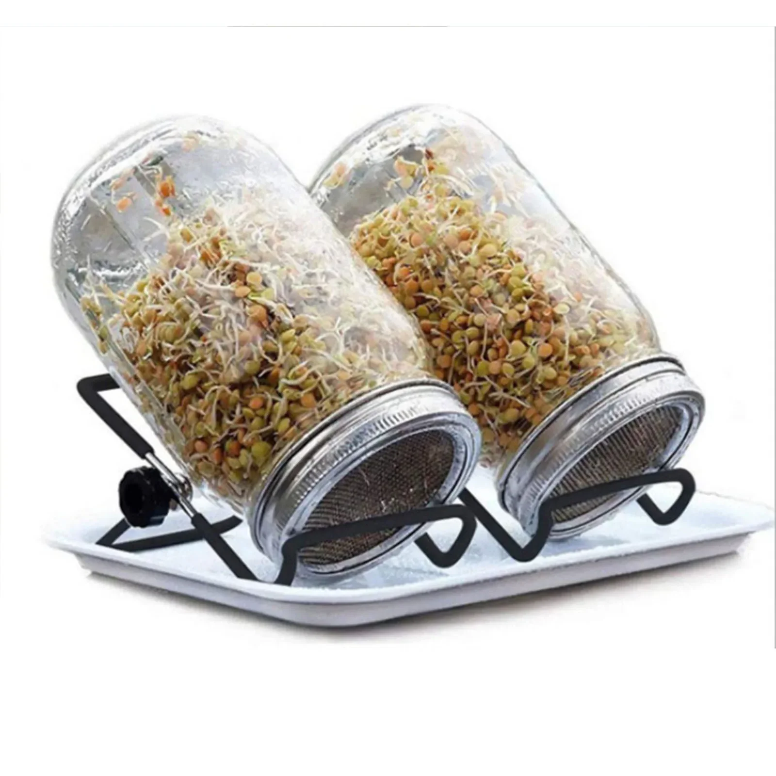 Stainless Steel Lid Holder Lid Mesh Lid Germination Jar Bean Sprout Lid Tray With Mesh Lid Kitchen Storage
Stainless Steel Lid Holder Lid Mesh Lid Germination Jar Bean Sprout Lid Tray With Mesh Lid Kitchen Storage