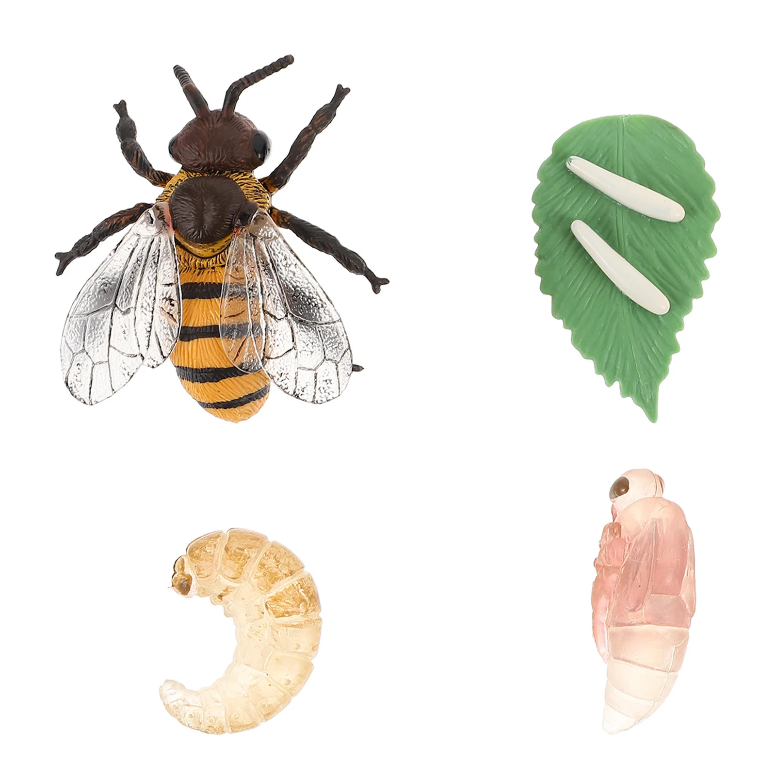 Miniature Animals Models Growth Week Kids Toys Simulation Decor Imitation Honey Decorate Child
Miniature Animals Models Growth Week Kids Toys Simulation Decor Imitation Honey Decorate Child