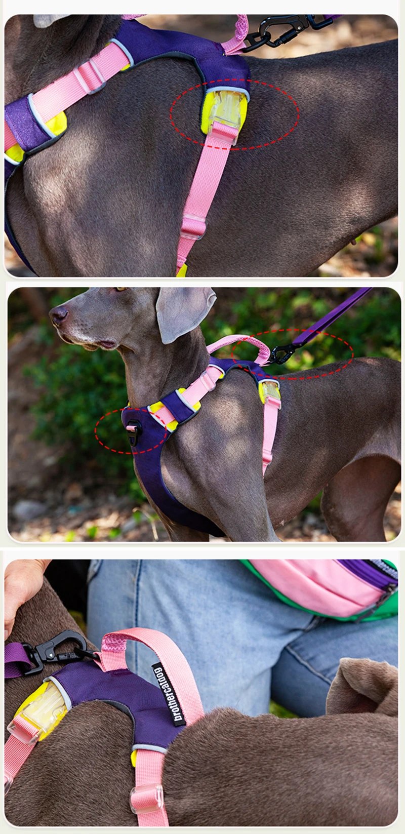 S07b5167fc2c2402aa151b2dc3c9d3cd0s