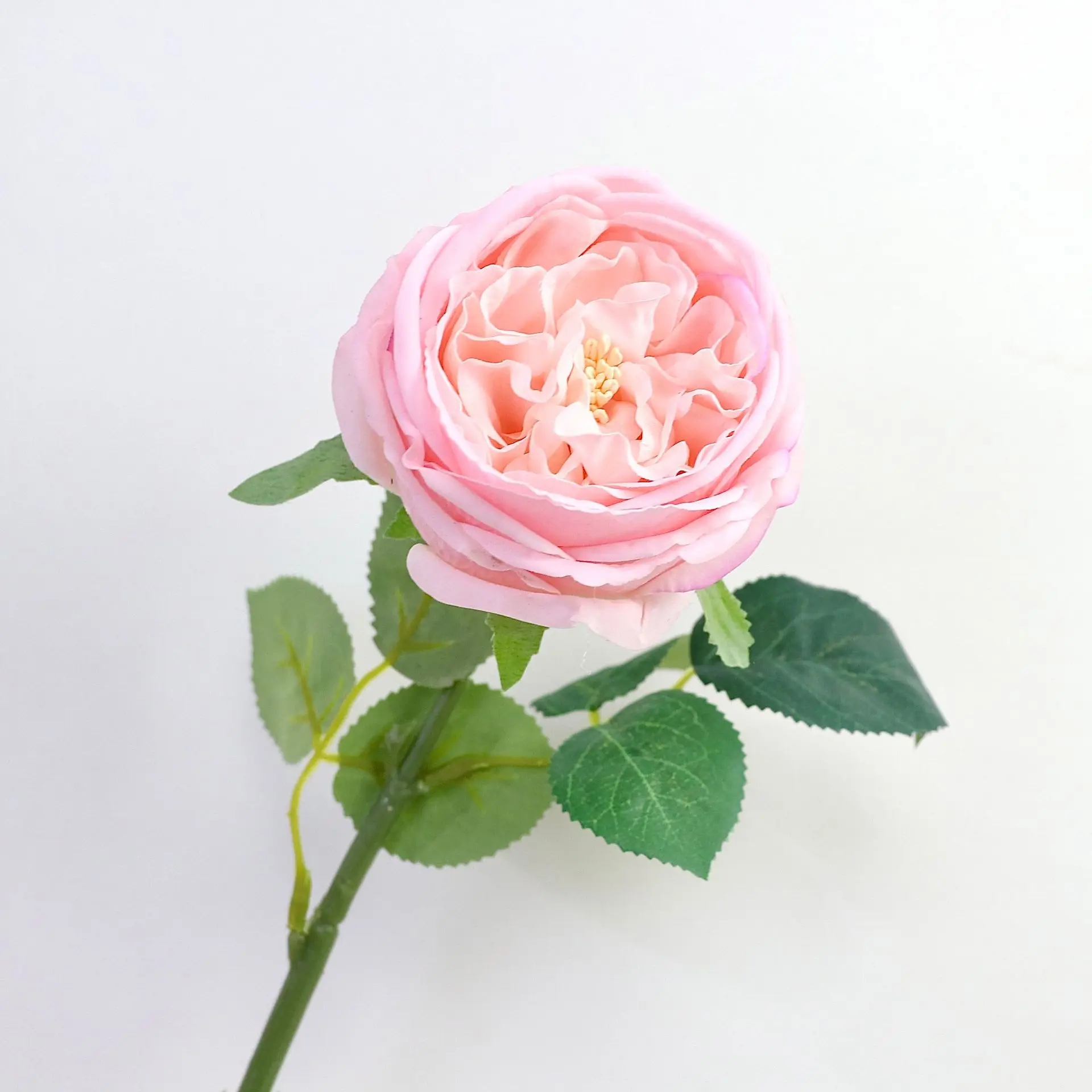 Feel Moisturizing High-end Artificial Flowers Light Luxury Living Room Decoration Ornaments Home Furnishings Party Decoration
Feel Moisturizing High-end Artificial Flowers Light Luxury Living Room Decoration Ornaments Home Furnishings Party Decoration