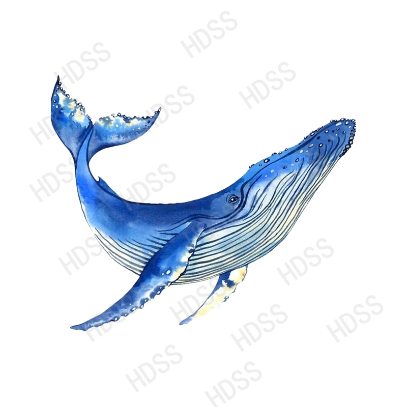 HDSS-Watercolor Whale Various Sizes Car Sticker Vinyl Decal Waterproof on Truck Bumper Rear Window Without Background/307 
HDSS-Watercolor Whale Various Sizes Car Sticker Vinyl Decal Waterproof on Truck Bumper Rear Window Without Background/307