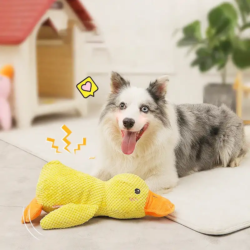 Quack-Quack, игрушка для собак в виде утки, прочная плюшевая жевательная игрушка для собак, мягкая игрушка для собак, Успокаивающая утка, мягкая игрушка для жевания с животными
Quack-Quack, игрушка для собак в виде утки, прочная плюшевая жевательная игрушка для собак, мягкая игрушка для собак, Успокаивающая утка, мягкая игрушка для жевания с животными