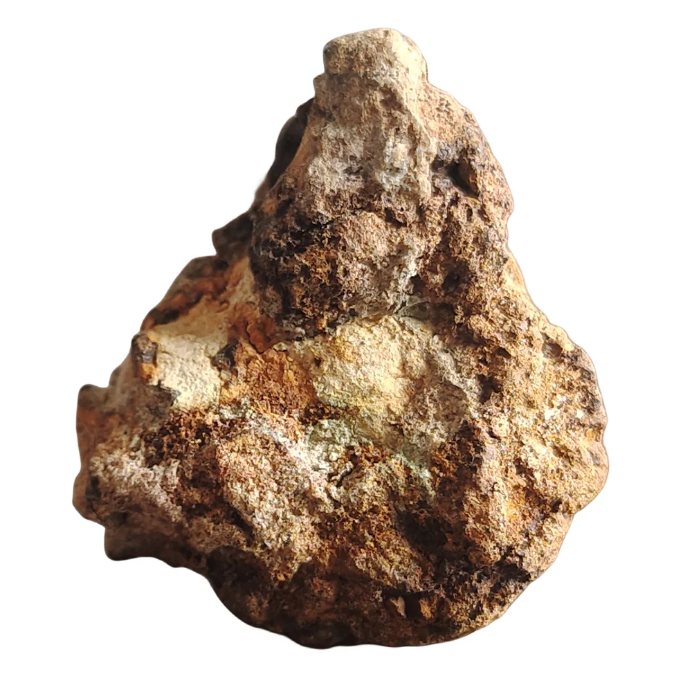 Sericho Olive Meteorite Specimen Kenya Meteorite Specimen Natural Meteorite Material Collection
Sericho Olive Meteorite Specimen Kenya Meteorite Specimen Natural Meteorite Material Collection