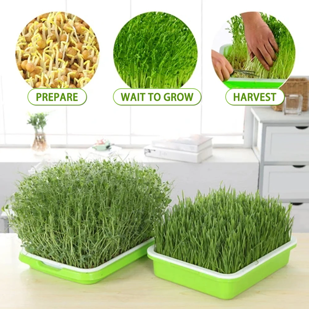 Double-layer Seedling Tray Nursery Pot outdoor Garden Supplies Hydroponic Flower Basket Flowers Plant Sprouting Box Sprout
Double-layer Seedling Tray Nursery Pot outdoor Garden Supplies Hydroponic Flower Basket Flowers Plant Sprouting Box Sprout