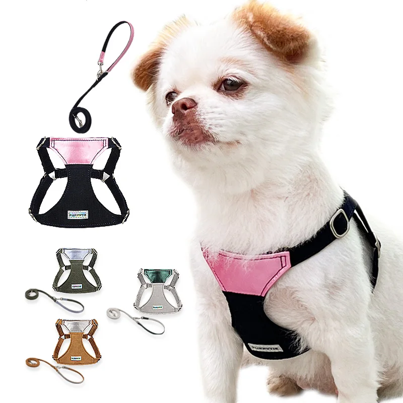 No Pull Dog Harness And Leash Set Step In Breathable Puppy Vest Luxury Safety Lead Rope Double Hook For Small Medium Dogs Cats
No Pull Dog Harness And Leash Set Step In Breathable Puppy Vest Luxury Safety Lead Rope Double Hook For Small Medium Dogs Cats
