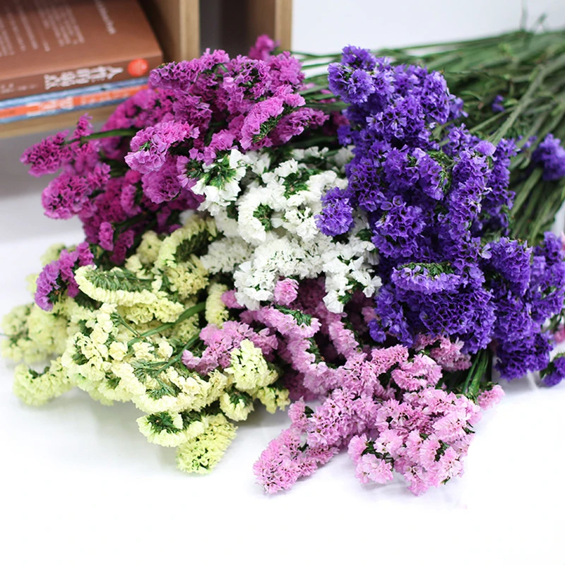 

100g Dried Natural Forget Me Not Flowers Fresh Preserved Flowers Bouquet Wedding Party Decoration Home Living Room Table Decor