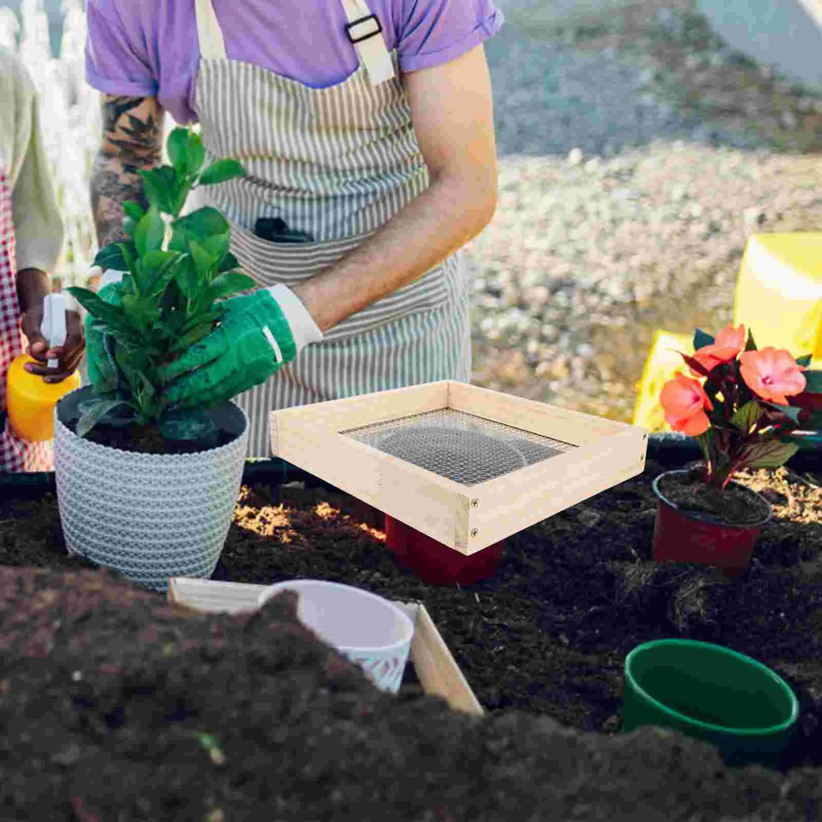 Камни садовое сито грязь для садоводства гравия горшечные растения почвы листья
Камни садовое сито грязь для садоводства гравия горшечные растения почвы листья