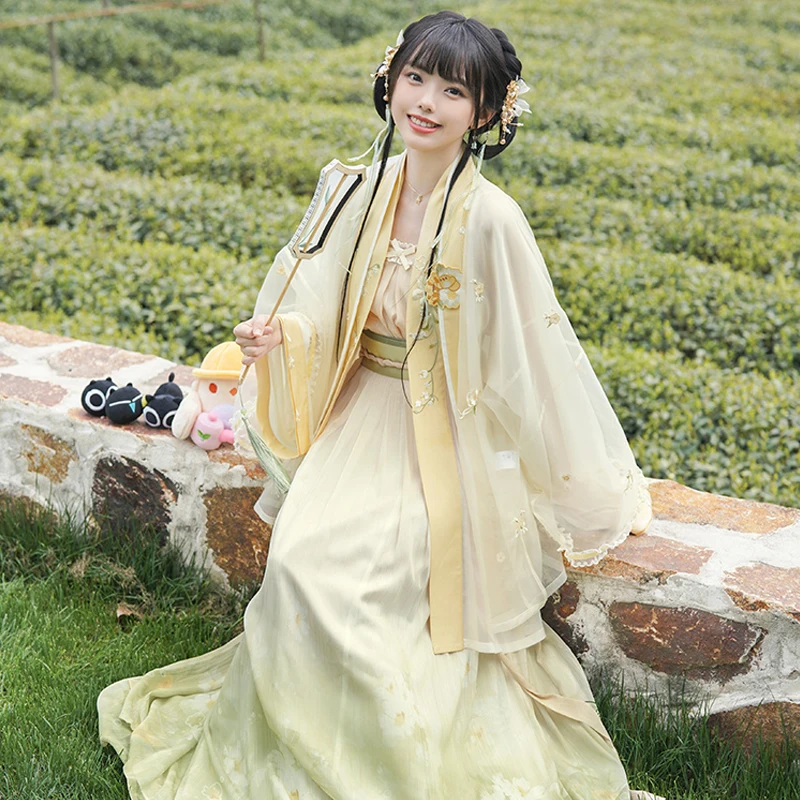 New Chinese Style Traditional Clothes For Women Adult Han Tang Dynasty Ancient Summer Princess Clothing Hanfu Dress DQL6943
New Chinese Style Traditional Clothes For Women Adult Han Tang Dynasty Ancient Summer Princess Clothing Hanfu Dress DQL6943