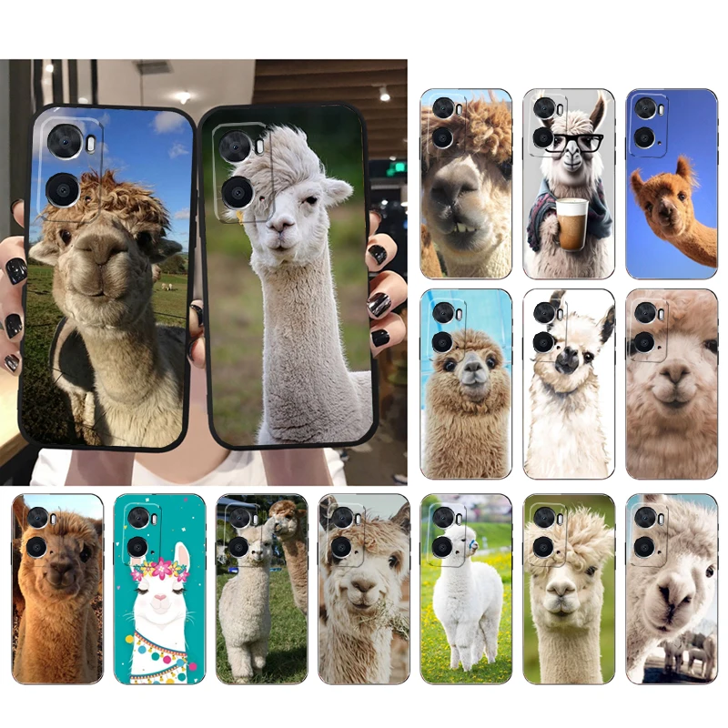 Alpaca Llamas Phone Case For OPPO A77 A57S A96 A91 A54 A74 A94 A73 A78 A53S A54S A15 A16 A17 A52 A58X A98
Alpaca Llamas Phone Case For OPPO A77 A57S A96 A91 A54 A74 A94 A73 A78 A53S A54S A15 A16 A17 A52 A58X A98