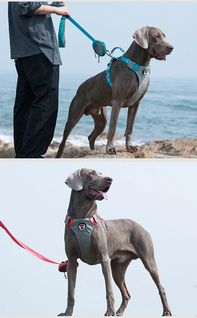 S09671816da2b4427918c5c13fab26a0cr